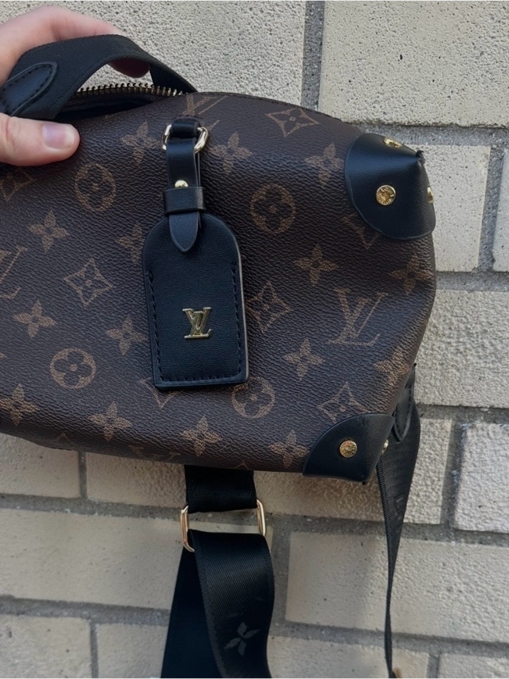 Louis Vuitton Louis Vuitton Petite Malle Souple Monogram